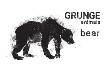 Silhouette Bear In Grunge Design Style Grizzly Animal Icon Vector Illustration