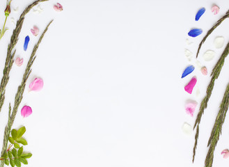 Romantic floral flat lay border with spikes and flower petals