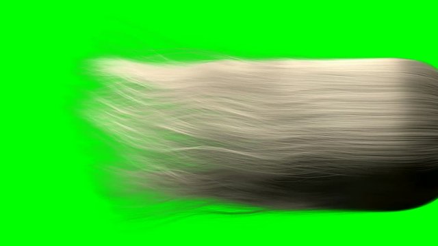 A close up of a long length of blonde hair blowing and swaying in slow motion before settling on a green screen background