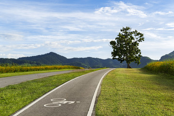 Scenery bicycle lane on a hill with a tree, blue sky and mountain forest background.