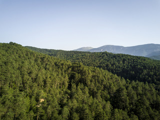 Fototapeta na wymiar Aerial view of a forest in Catalonia Spain