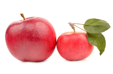 apple on a white background