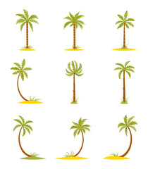 Set of colored palms in a flat style.
