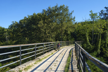 Fototapeta na wymiar Parenzana, old railway bridge