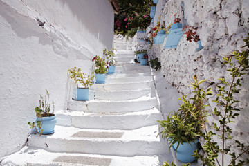Old street in the center of the city. Oriental architecture. Traditional style stairway, blue white house entrance with plants and flowers in pots