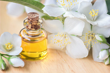 Essential oil in glass bottle with fresh jasmine flowers, beauty treatment. Spa concept Selective focus. Fragrant oil of jasmine flowers macro wooden table horizontal. Herbs have medicinal properties.