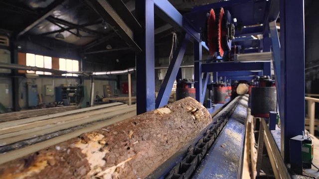 Sawmill, lumber industry - cutting line, machinery