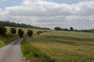 Fototapeta na wymiar Chemin rural à travers champs dans le Ternois département du Pas-de-Calais, France