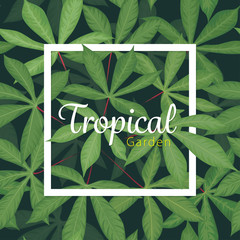 Tropical seamless pattern with cassava leaves on dark background. Vector set of exotic tropical garden for wedding invitations and greeting card design.