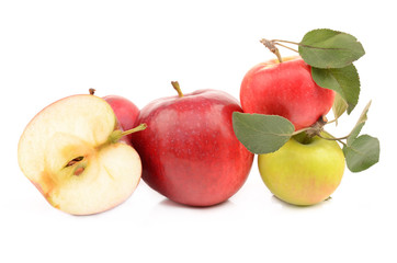 apple on a white background