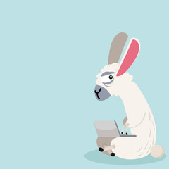 alpaca with notebook