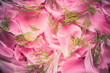 Summer background of petals of pink flowers