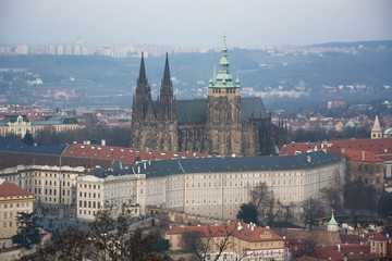Obraz premium St. Vitus Cathedral
