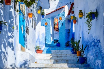 Zelfklevend Fotobehang Colourful flower pots in an alley in the Blue City Chefchaouen, Morocco © Deyan