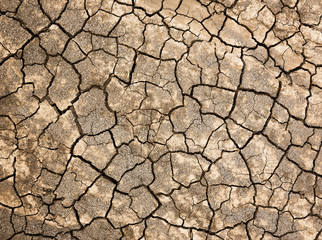 Cracked soil texture