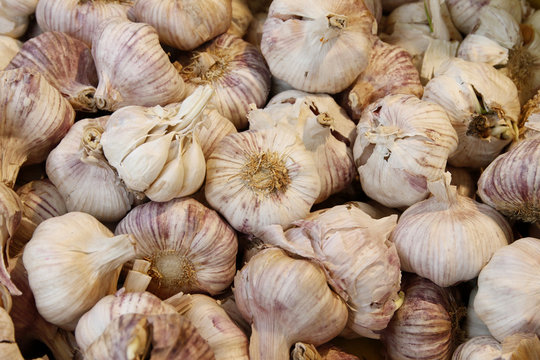 Knoblauch Knollen auf einem Markt, Italien, Europa  (Allium)