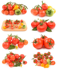 juicy tomatoes on white background