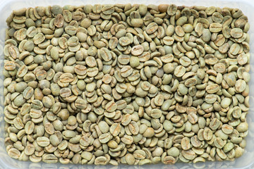 Arabica coffee beans
