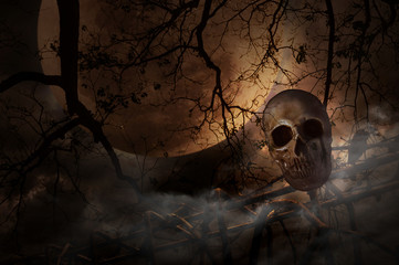 Human skull on old fence over dead tree, moon and cloudy sky, Mystery background, Halloween concept
