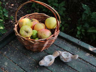 Basket with apples on an old table