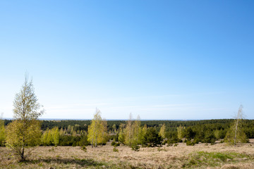 Curonian Spit landscape