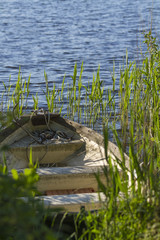 Ruderboot im See mit Schilf