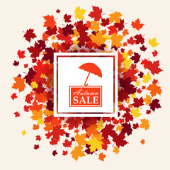 Autumn sale banner of white white square and logo with umbrella in center. Vector illustration with scattered maple leaves in traditional Fall colors - orange, yellow, red, brown. Isolated