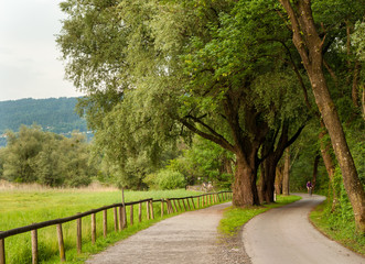 Path along lake Bodensee