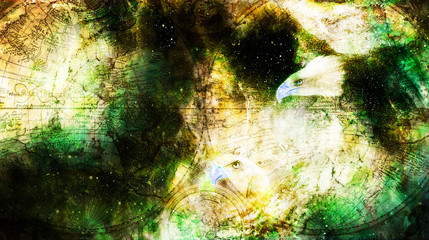 Eagle and old map in cosmic space. Profile portratit. Computer collage.