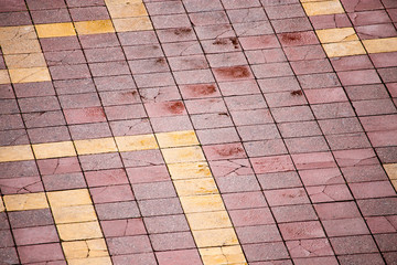Fototapeta premium Paving stone on the road as a background