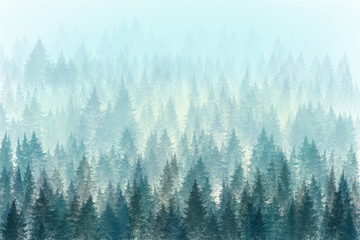 Fototapety  Drzewa w porannej mgle. Malowanie cyfrowe.