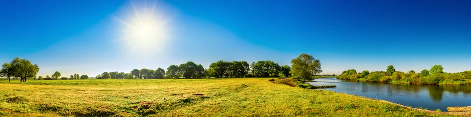 Photo sur Plexiglas Été Paysage en été avec arbres, prairies, rivière et soleil