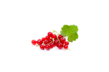 Red currant berry isolated on white. A bunch of red currant..