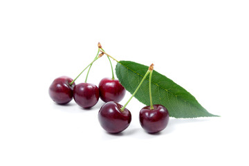 Sweet cherry isolated on a white background..