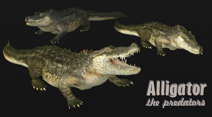 alligator 3d illustration black background