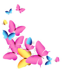 beautiful color butterflies,set, isolated  on a white