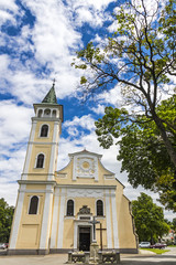 Fototapeta na wymiar Church of the Birth of Our Lady in Michalovce, Slovakia
