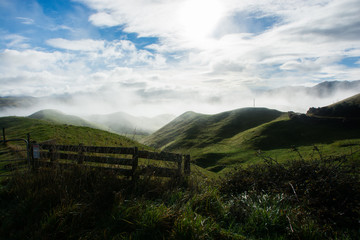 Sunny morning over NZ fields