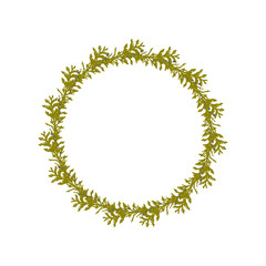 Vector botanical illustration with a wreath made of fir tree  branches and berries.