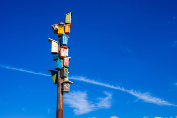 Obraz premium A lot of birdhouses at sky background