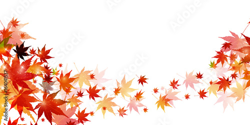 紅葉 秋 風景 背景 Wall Mural Wallpaper Murals J Boy