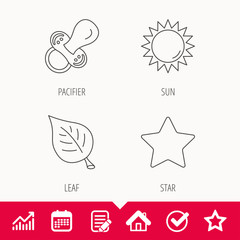 Leaf, star and sun icons. Pacifier linear sign. Edit document, Calendar and Graph chart signs. Star, Check and House web icons. Vector