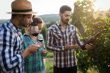 Wine grower and people in vineyard