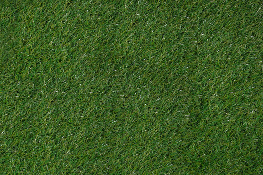 green grass natural texture  background