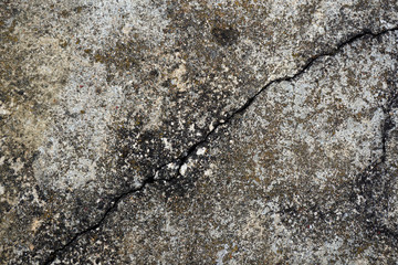 Rock Stone Crack Texture