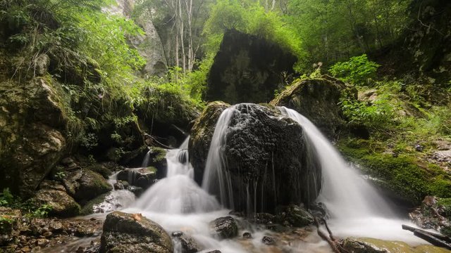 Close up of the fresh water stream in a mountain forest. Carpathians Mountains, Romania. 4k timelapse.