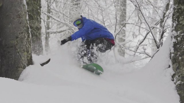 snowboarder Freerider rides in the forest