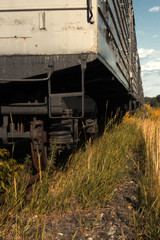 Fototapeta na wymiar Rusty railway. Abandoned old wagons. Urbanism