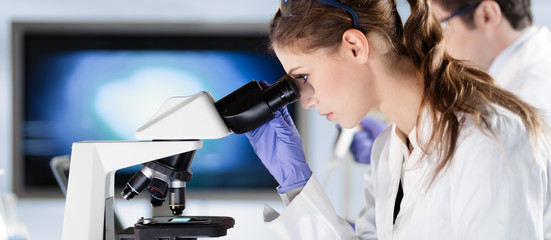 Life scientists researching in laboratory. Attractive female young scientist and her post doctoral...