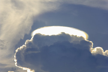 amazing phenomenon ; Iridescent Pileus
